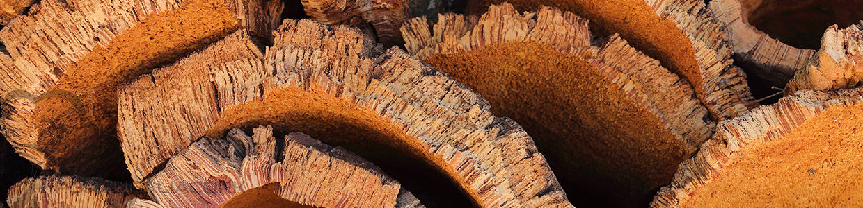 Cork harvest 1 cork-harvesting-4